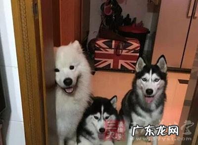细小症状有哪些