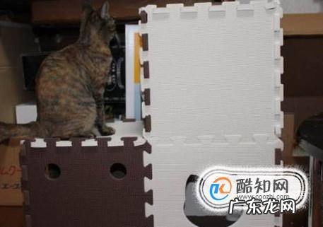 怎么做猫咪房子好看