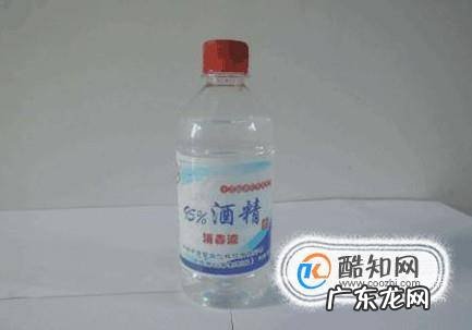 给猫剪指甲出血了怎么办