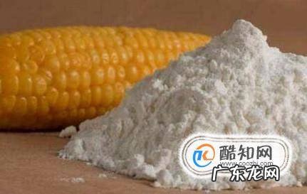 给猫剪指甲出血了怎么办