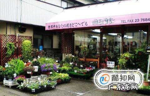 日本金泽购物攻略