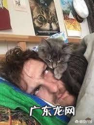 猫咪与人同床睡可以吗 你会跟猫咪同床共枕吗