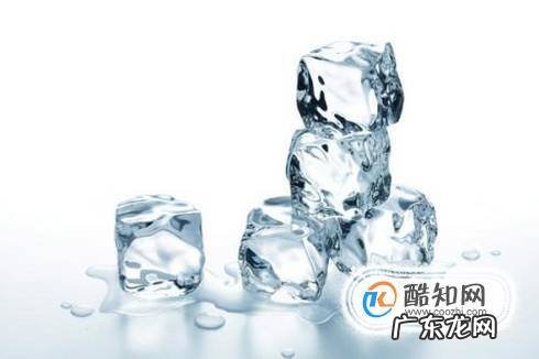 狗狗被蜜蜂蛰了怎么办