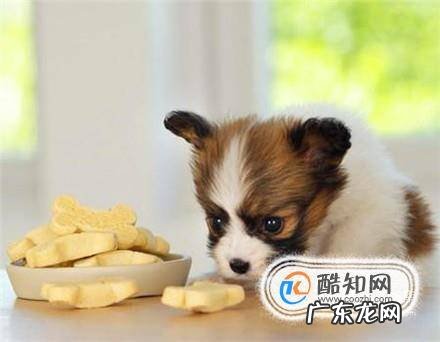 狗狗一天吃多少比较合适