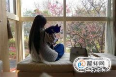 怎么跟猫培养感情