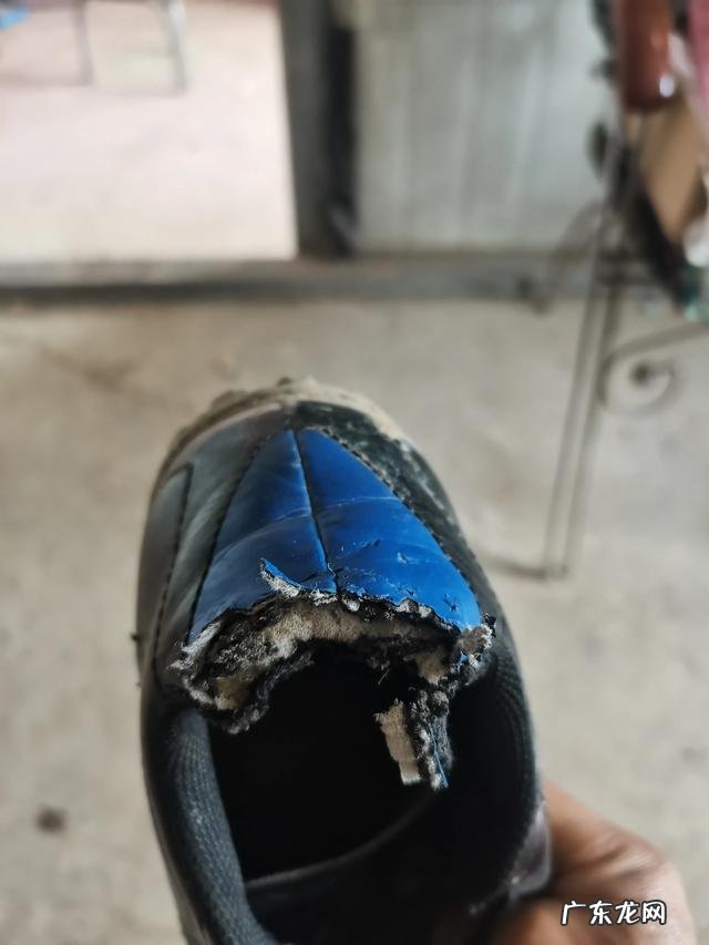 土狗为什么 你们家的小土狗干过什么让你啼笑皆非的事情吗