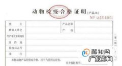 小动物托运怎么办理