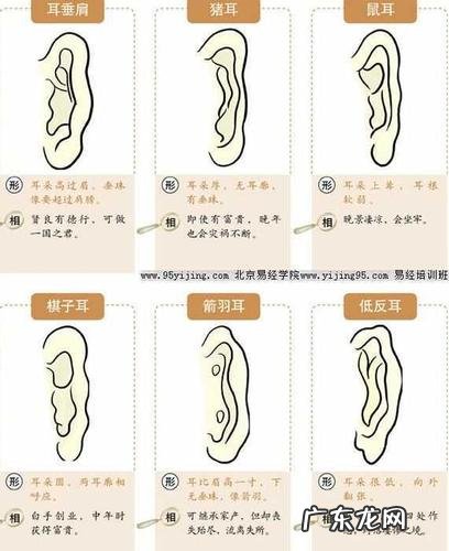 面相学耳垂小代表什么