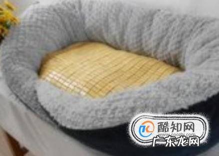 狗一块一块的掉毛怎么办