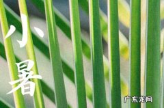 二十四节气2023年小暑时节祝福语短信怎么写
