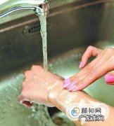 被猫狗咬伤了怎么办