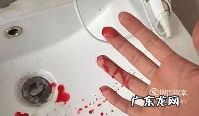 被猫狗咬伤了怎么办