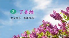 丁香结含义是什么？丁香结是什么意思？丁香结是什么意思