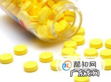 夏天狗狗吃什么好天热狗狗喂养注意事项