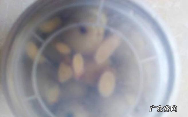 腌制牛甘果的做法