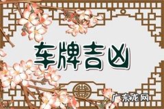 车牌号最旺财的尾数