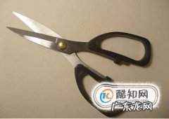 三天治好猫癣的办法