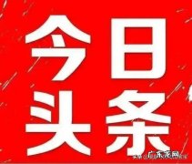 年轻人养宠物的原因 人为什么年龄越大越喜欢养宠物