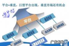 垂直电商是什么意思？垂直电商和综合电商平台有什么区别？