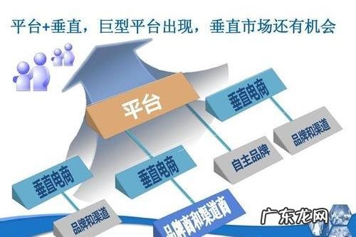垂直电商是什么意思？垂直电商和综合电商平台有什么区别？