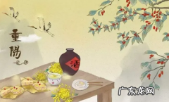 重阳节送什么花 2021重阳节可以给老人送花吗