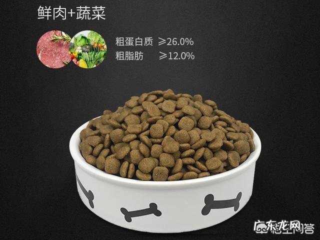 怎么去除家里养狗的臭味 养狗,家里有一股臭味,怎么去除