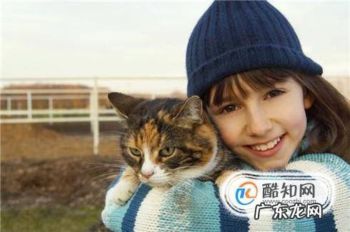 怎么训练猫不咬人