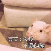 没钱哪里都不想去!