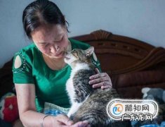 养猫的好处和坏处