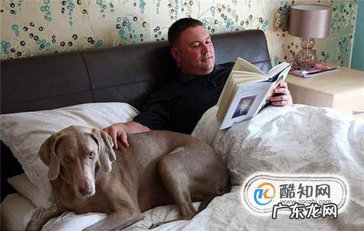 家庭养宠物要注意什么如何健康安全养宠物