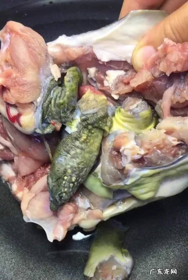 甲鱼如何做好吃