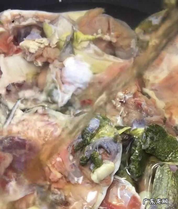 甲鱼如何做好吃