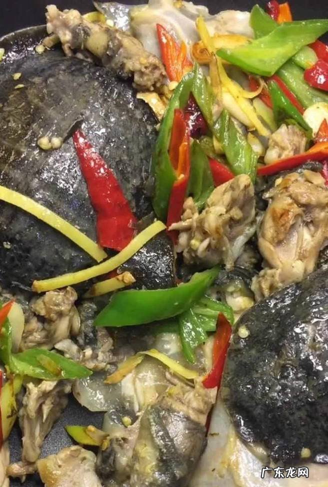 甲鱼如何做好吃