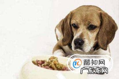 狗狗大便带有一层黏膜还带有血是怎么回事