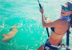 动物能喝酒吗 给动物喝白酒会怎样