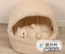 小猫老爱睡在床上怎么办