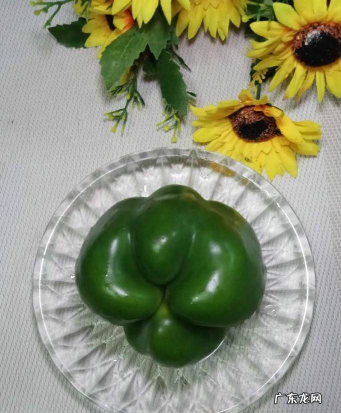 怎样做美味的青椒洋葱炒鸡胸肉