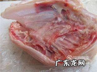 金毛犬喂食鸡架的正确方法