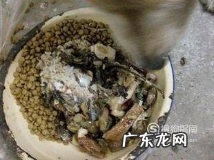 金毛犬喂食鸡架的正确方法