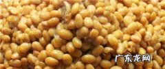 美味西瓜酱的制作方法