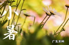 2023年小暑的祝福语10篇