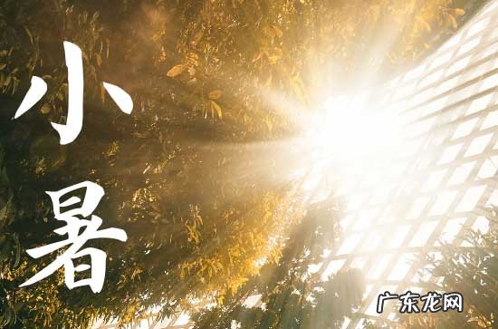 2023年小暑的祝福语8篇