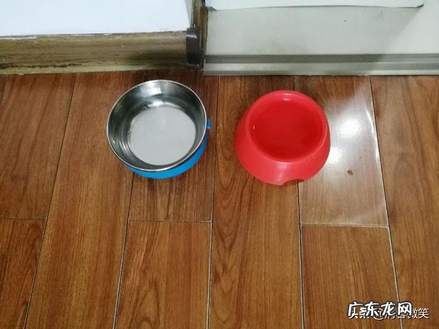 当和你相处了快十年的宠物突然间离开了,你内心的感觉是什么样的