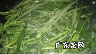 清炒空心菜的做法