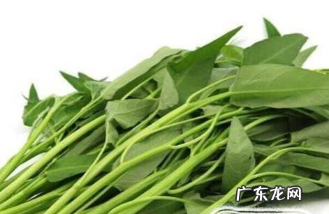 清炒空心菜的做法