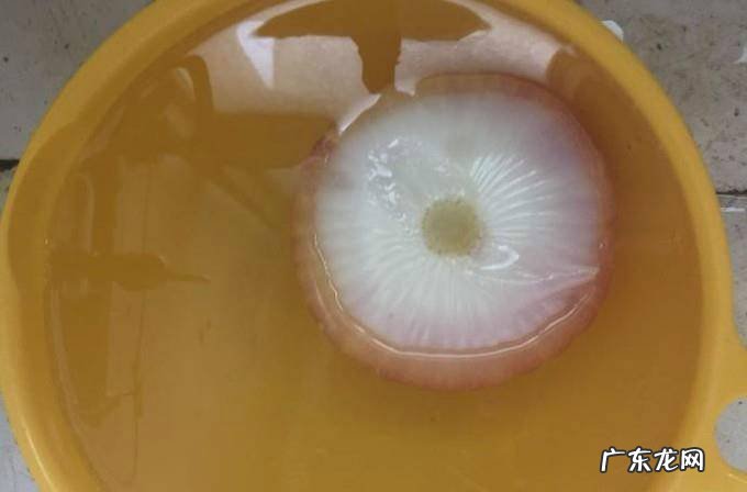 如何做洋葱炒肉好吃