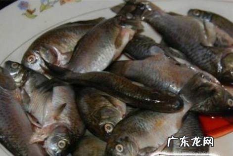 野生小河鱼的做法