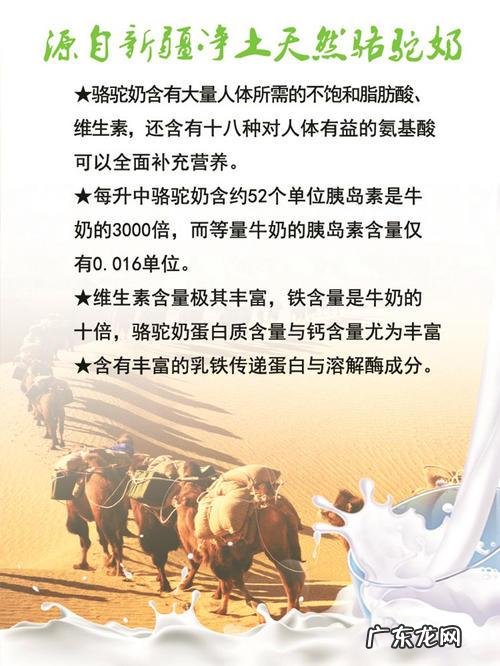 骆驼奶的功效和作用