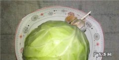 蒜蓉手撕包菜怎样做好吃呢