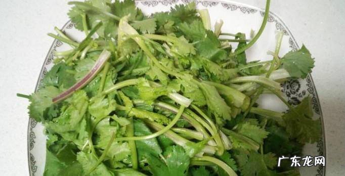 香菜青椒炒肉丝的做法
